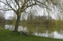 la chaise meunière